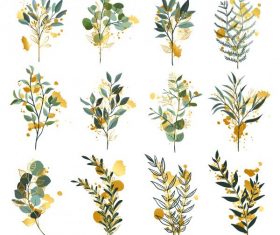 Flora leaves icons colored vector