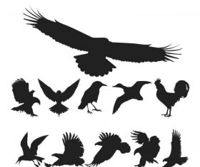 Birds silhouette pack free cdr s art vector
