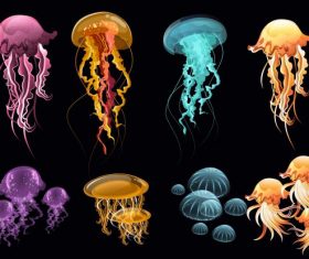 Jellyfish icons colorful modern illustration vector