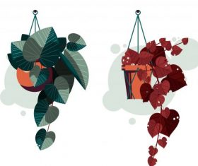 Decorative houseplant icons hanging colored vector