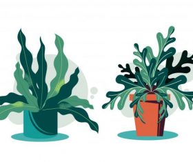 Decorative houseplant icons colored classical vector