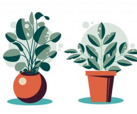 Houseplant icons colored flat vector