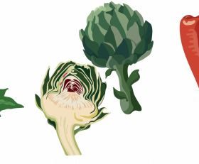 Vegetables fruits icons colored classical flat handdrawn vector