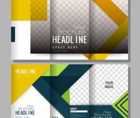 Brochure templates modern elegant colorful bright decor vector