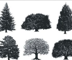 A monochrome tree free cdr vector