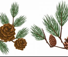 Pine seeds icons colored vector