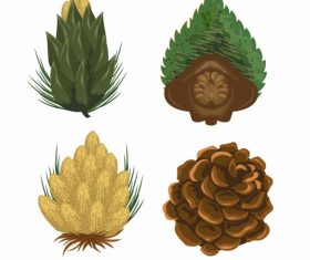 Pine cone icons colored set vector