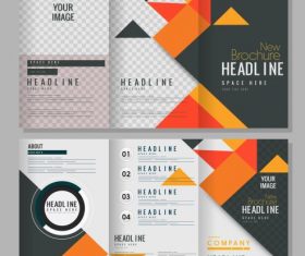 Brochure templates colorful geometric trifold vector