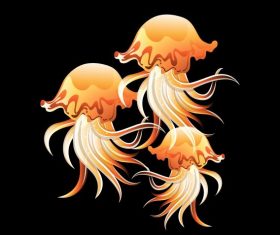 Jellyfish painting colored shiny contrast illustration vector