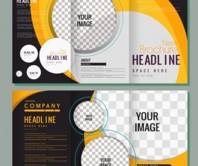 Corporate brochures checkered vector