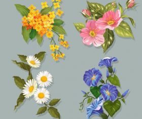 Flowers icons colorful blooming vector
