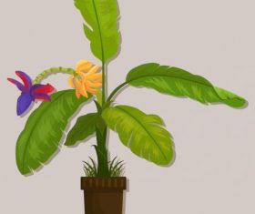 Decorative plant banana colored vectors material