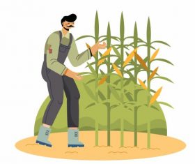 Farming work painting farmer corn plantation vector