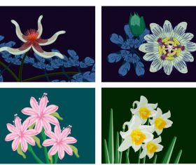 Botany background templates colorful classical vector design
