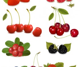 Delicious Fruit 01 vector