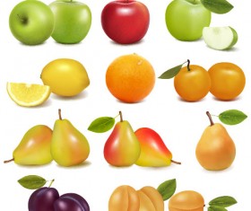 Delicious Fruit 02 vector