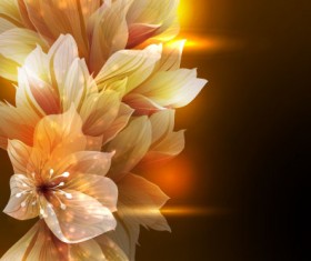 Brilliant Petal background vector 04