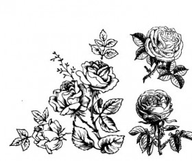 Hand draw Flower vector 01