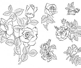 Hand draw Flower vector 03