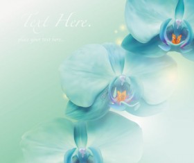 free vector Butterfly flower  Set