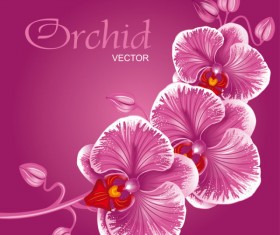 Set Exquisite with Flowers background free vector 01