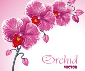Set Exquisite with Flowers background free vector 02