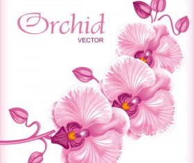 Set Exquisite with Flowers background free vector 03