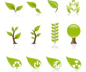 Set of Exquisite Leaves vector Graphics part 01
