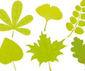Set of Exquisite Leaves vector Graphics part 04