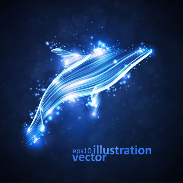Transparent Dolphin vector Illustration 02
