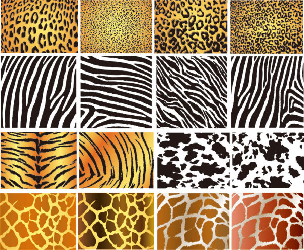 Set of Leopard Pattern vector 01