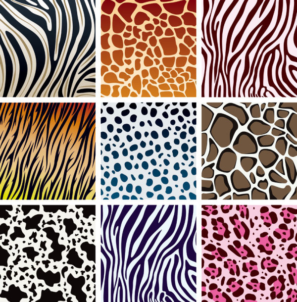 Set of Leopard Pattern vector 02