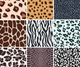 Set of Leopard Pattern vector 01 free download