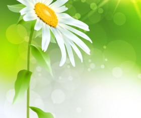 Bright with Flowers free vector 04