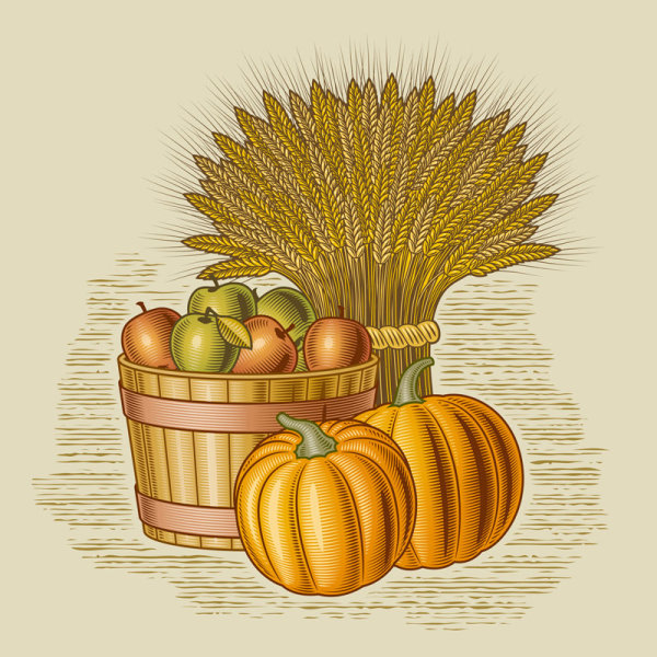 The harvest season cartoon vector 05