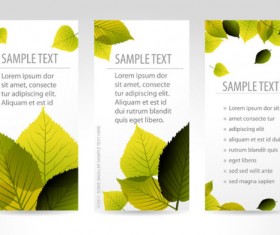 Set of maple leaves cards vector 01