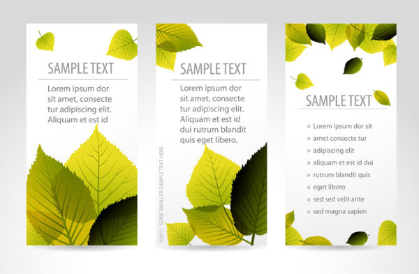 Set of maple leaves cards vector 01