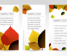 Set of maple leaves cards vector 02