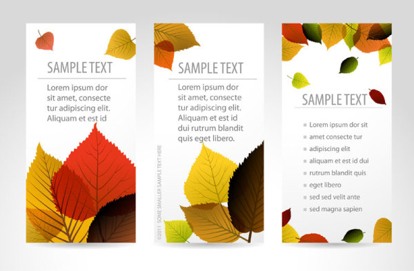 Set of maple leaves cards vector 02