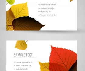 Set of maple leaves cards vector 03