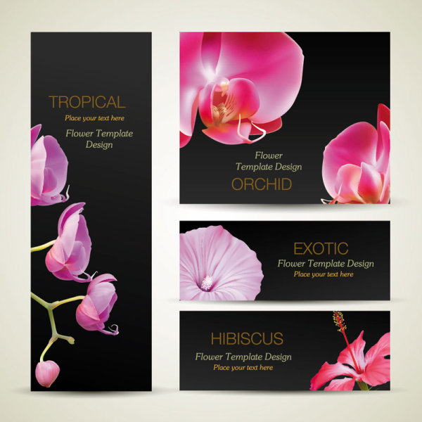 with Flowers cards vector template 01