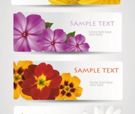 with Flowers cards vector template 02