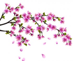 Japan Cherry Blossoms free vector 03
