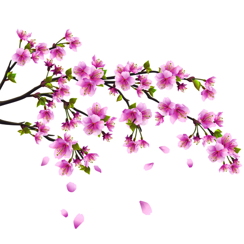 Japan Cherry Blossoms free vector 03
