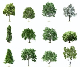 Elements of Various trees vector 01