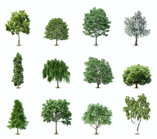 Elements of Various trees vector 01