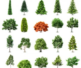 Elements of Various trees vector 01