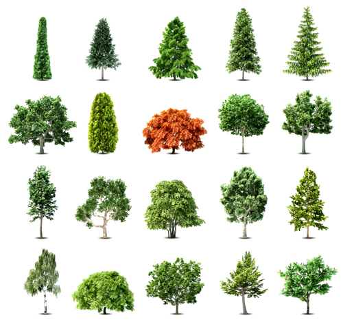 Elements of Various trees vector 01