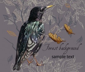 forest birds vector background 04