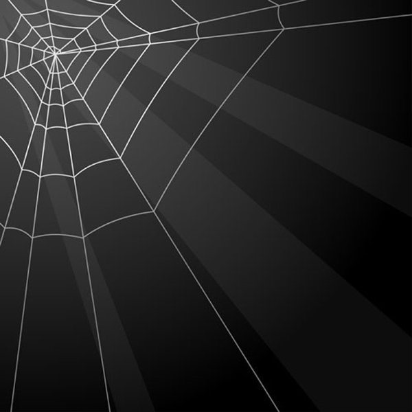 spiderweb design elements vector 01